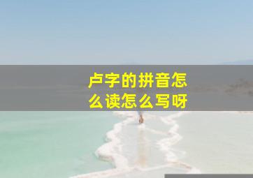 卢字的拼音怎么读怎么写呀