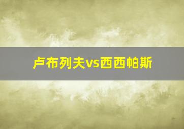 卢布列夫vs西西帕斯