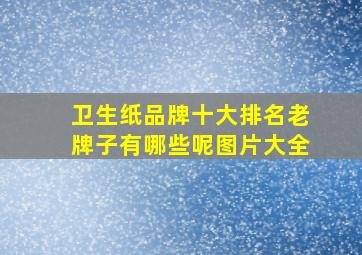 卫生纸品牌十大排名老牌子有哪些呢图片大全