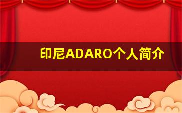 印尼ADARO个人简介