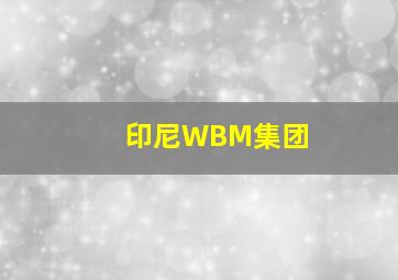 印尼WBM集团