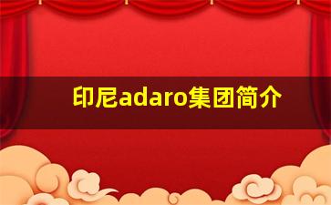 印尼adaro集团简介