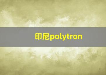 印尼polytron