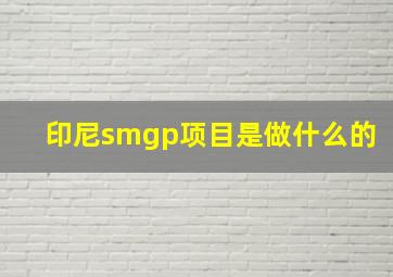 印尼smgp项目是做什么的