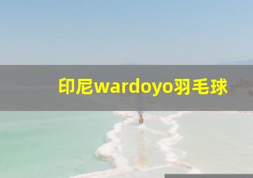 印尼wardoyo羽毛球