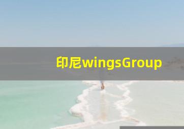 印尼wingsGroup