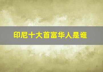 印尼十大首富华人是谁