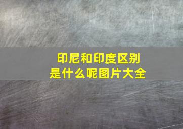 印尼和印度区别是什么呢图片大全