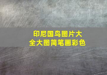 印尼国鸟图片大全大图简笔画彩色