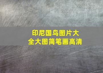 印尼国鸟图片大全大图简笔画高清