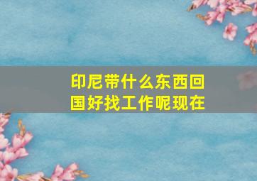 印尼带什么东西回国好找工作呢现在