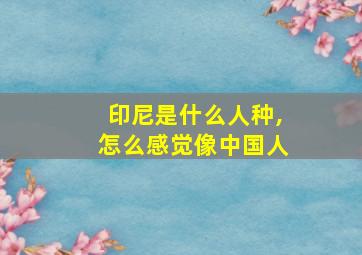 印尼是什么人种,怎么感觉像中国人