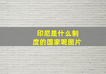 印尼是什么制度的国家呢图片