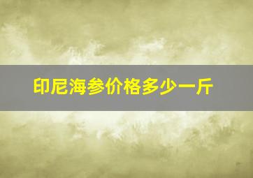 印尼海参价格多少一斤