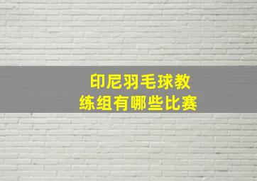 印尼羽毛球教练组有哪些比赛