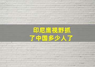 印尼鹰视野抓了中国多少人了