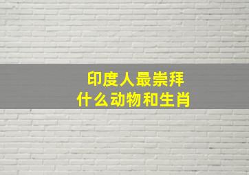 印度人最崇拜什么动物和生肖