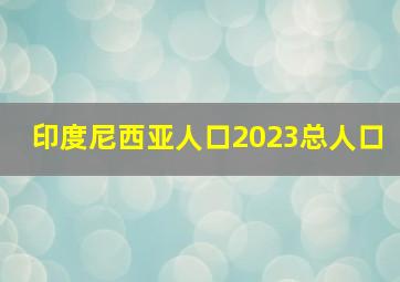 印度尼西亚人口2023总人口