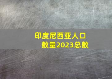 印度尼西亚人口数量2023总数