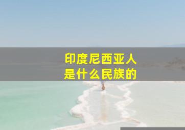 印度尼西亚人是什么民族的