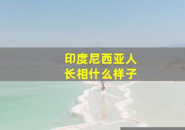 印度尼西亚人长相什么样子