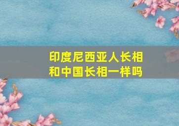 印度尼西亚人长相和中国长相一样吗