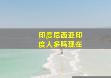 印度尼西亚印度人多吗现在