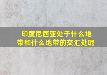 印度尼西亚处于什么地带和什么地带的交汇处呢