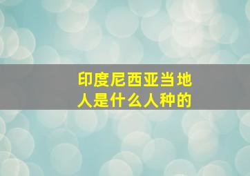 印度尼西亚当地人是什么人种的