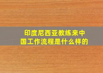 印度尼西亚教练来中国工作流程是什么样的