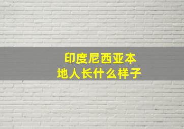 印度尼西亚本地人长什么样子