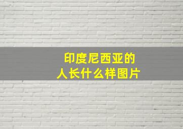 印度尼西亚的人长什么样图片