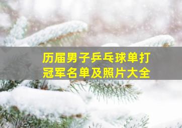 历届男子乒乓球单打冠军名单及照片大全