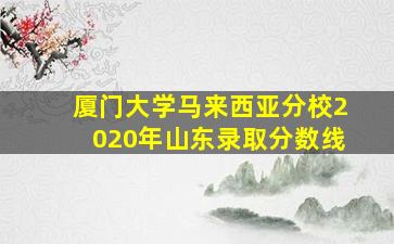 厦门大学马来西亚分校2020年山东录取分数线