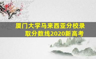 厦门大学马来西亚分校录取分数线2020新高考