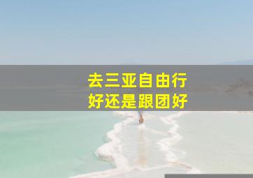 去三亚自由行好还是跟团好