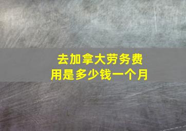 去加拿大劳务费用是多少钱一个月