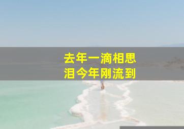 去年一滴相思泪今年刚流到