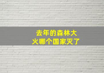 去年的森林大火哪个国家灭了