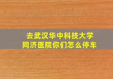 去武汉华中科技大学同济医院你们怎么停车