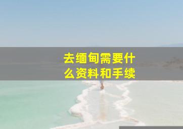 去缅甸需要什么资料和手续