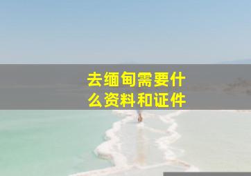 去缅甸需要什么资料和证件