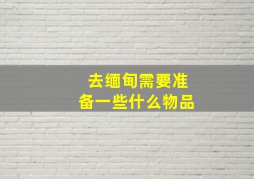 去缅甸需要准备一些什么物品