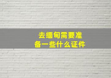 去缅甸需要准备一些什么证件