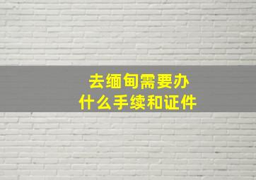 去缅甸需要办什么手续和证件