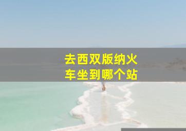 去西双版纳火车坐到哪个站