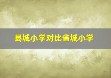 县城小学对比省城小学