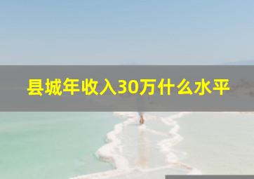 县城年收入30万什么水平