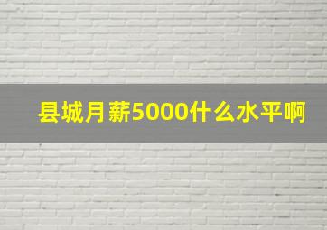 县城月薪5000什么水平啊