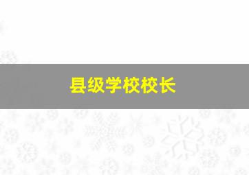 县级学校校长